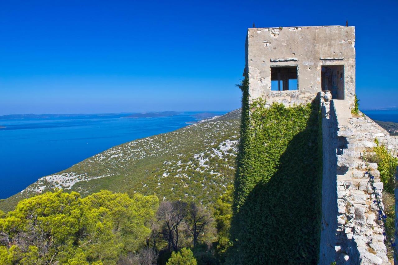Studio Apartment In Preko With Sea View, Terrace, Air Conditioning, Wi-Fi מראה חיצוני תמונה
